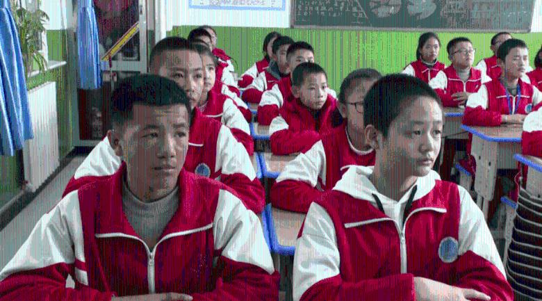 逃离森林湖畔